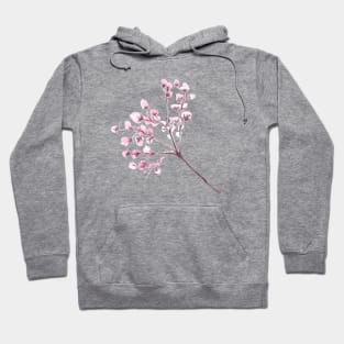 cherry blossom branch watercolour Hoodie